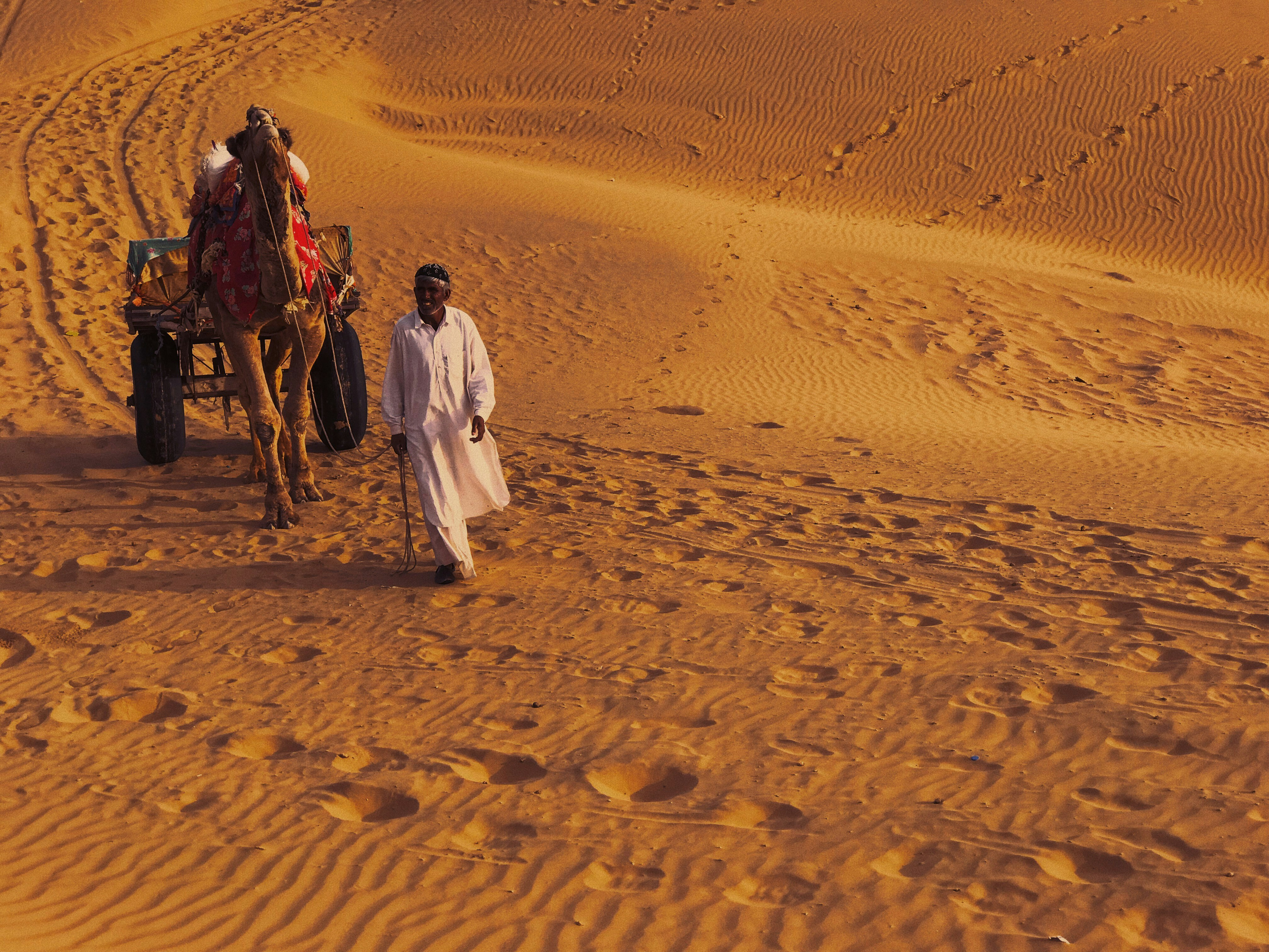 Desert Safari View 1
